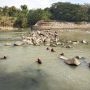 Cari Ikan di Sungai Progo, Satu Orang Hilang Tenggelam