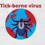 China Temukan Virus Tick-Borne dari Gigitan Kutu, Sudah 67 Orang Terinfeksi