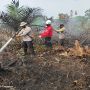Pemerintah Harus Pertimbangkan Lanjutkan Moratorium Sawit