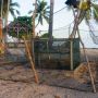 Bersua Pak Bujang, Pejuang Konservasi Penyu Dalam Sunyi di Pulau Lampu