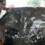 Polisi Bersihkan Makam Presiden Soekarno dan Museum Istana Gebang
