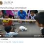 Bikin Gemas, Tiga Ekor Kucing Ikut Lomba Makan Ikan Meriahkan HUT RI