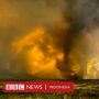 Suhu Terpanas di Bumi: Death Valley, Mencapai 54,4 derajat Celsius