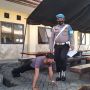 Kocak Belasan Polisi Kena Razia Tak Pakai Masker, Disuruh Push Up