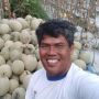 Bermodal Baca Buku Gratisan, Petani Melon Ini Raup Omzet Ratusan Juta