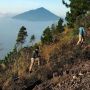 Cuaca Esktrem, Pendakian Gunung Gede Ditutup