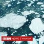 Lapisan Es Greenland Cair dalam Skala Belum Pernah Terjadi Sebelumnya