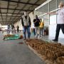 Pastikan Tembakau Petani Terbeli, Ganjar Pranowo Kunjungi Pabrik Rokok