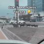 Tertib Abis, Aksi Rombongan Kambing Ini Bikin Pengguna Jalan Salah Fokus
