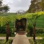 Teduh dan Sejuk, Nyamannya Makan Dikelilingi Kebun di Legit Resto Jogja