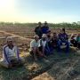 Reitech Diversifikasi Agro Lakukan Ekspansi Lahan Jagung Seluas 2500 Ha