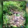 Pihak Keluarga Konfirmasi Kerangka Nenek di Hutan Pinggir Kota Batam