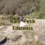 Petik Edelweis, Rombongan Pendaki Gunung ini Tuai Kecaman