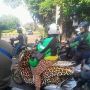 Celana Driver Perempuan Ini Mancing Perhatian, Netizen: Kayak Transparan!