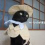 Terkenal Jadi Cosplayer, Kucing Jepang Ini Punya 114 Koleksi Kostum