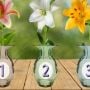 Tes Kepribadian: Bunga Lily yang Kamu Pilih Ungkap Nasib di Minggu Depan?