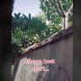 Bikin Konten Tiktok soal Istri Pelit, Pria Ini Dikecam Rendahkan Kaum Hawa