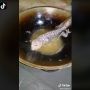 Wanita Goreng Tokek dan Cicak untuk Hidangan Makan Malam, Videonya Viral