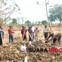 Gegara Tak Pakai Masker, Puluhan Warga Disuruh Gali Kubur Korban Covid-19