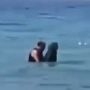 Viral Video Pasangan Mesum di Pantai, Warganet Kaitkan Dengan KPAI