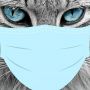 Studi: Kucing dan Anjing Positif Covid-19 Alami Masalah Pernapasan