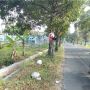 Viral Tumpukan Sampah Digantung di Pohon, Begini Respon DLH Sleman