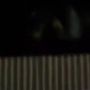 Viral Penampakan Sosok Misterius di Atas Pohon, Netizen Penasaran