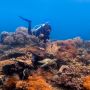 Yuk Kenali Wisata Berkelanjutan #DiIndonesiaAja saat Pandemi Berakhir