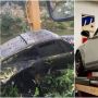 4,5 Tahun Tenggelam di Sungai, Restorasi Mobil Mewah Ini Bikin Penasaran