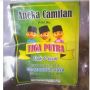 Misteri Penampakan Gambar Upin Ipin Kembar Tiga