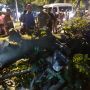 Motor Tertimpa Pohon, Ojol: Tolong Pak Bima, Motor untuk Cari Nafkah Rusak