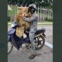 Ayah Pungut Boneka di Tempat Sampah Demi Anak, Curhatnya Bikin Mewek