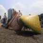 Hari Tani Nasional: Ini Sejarah Pertanian di Indonesia