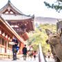 Bagaikan Lukisan, Ini 10 Kota Paling Indah di Jepang