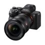 Sasar Videografer, Ini Spesifikasi dan Harga Sony Alpha 7S III