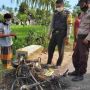 Gagal Tangkap Pencuri Ayam, Warga Lotim Lampiaskan Emosi Bakar Motor Pelaku