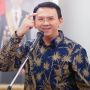 Musuh Bebuyutan Menolak Jika Ahok Dipilih Jokowi untuk Pimpin Ibu Kota Negara Baru Nusantara