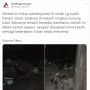 Hidup Sebatang Kara, Kakek Ini Tinggal di Rumah yang Nyaris Roboh