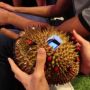 Unik! Mahasiswa asal Singapura Ini Sulap Buah Durian Menjadi Konsol Game
