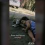 Gemas! Dikira Pingsan, Balita ini Ternyata Tidur Bareng Kucing di Halaman