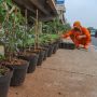 Ewindo Ajak Kaum Milenial Gali Potensi Ekonomi Lewat Urban Farming