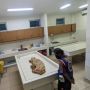 Tragis! Dicari-cari, Bocah 5 Tahun di Mojokerto Tewas Kecemplung Kolam Lele