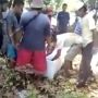 Dinkes Telusuri Video Viral Warga Buka Paksa Peti Mati Pasien Covid-19