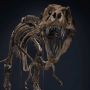 Sempat Menghilang Secara Misterius, Fosil T-rex Termahal Akhirnya Ditemukan