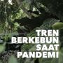 Berkebun di Tengah Pandemi: Hobi yang Bikin Hati Senang