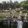 Liburan di Akhir Pekan, Ragunan Sediakan Layanan Wisata Virtual