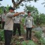 Begini Cara  Mentan Pulihkan Lahan Pertanian Terdampak Banjir