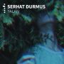 Lagu Asli Yalla Yalla Tiktok, Ini Lirik Lagu Yalan - Serhat Durmus