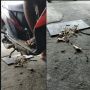 Jeroan Motor Ini Bikin Nggak Doyan Makan, Kometar Warganet Bikin Salfok