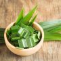7 Manfaat Daun Pandan Untuk Tubuh, Bisa Cegah Kanker